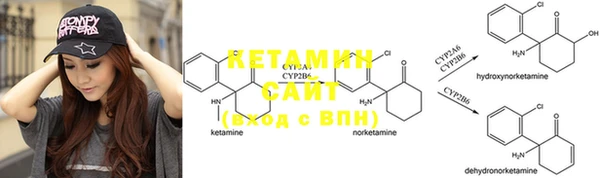 амф Липки