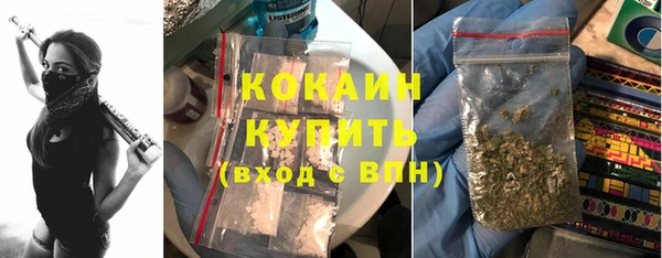 сатива Новочеркасск