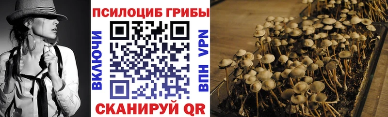 Галлюциногенные грибы Psilocybe  блэк спрут маркетплейс  Партизанск  мориарти формула  даркнет сайт 