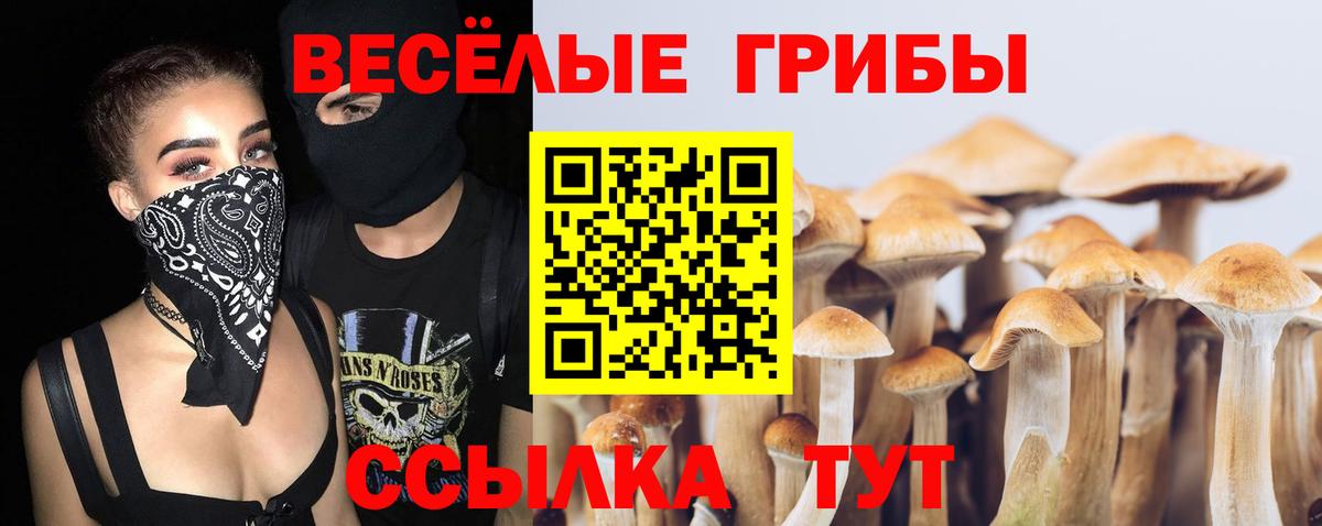 Партизанск  Галлюциногенные грибы мухоморы  Псилоцибиновые грибы прущие грибы  Вход с VPN 