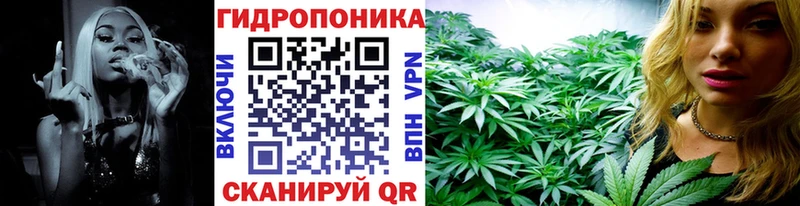 Каннабис сатива  кракен ССЫЛКА  Партизанск  купить  