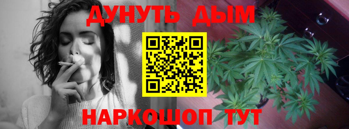 Бошки Шишки Amnesia Партизанск